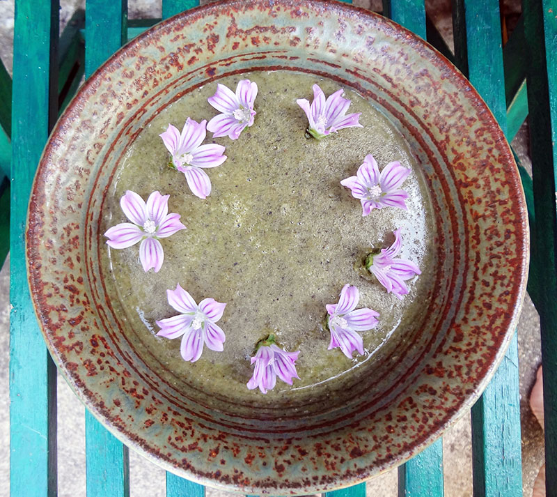 mallow soup blossoms