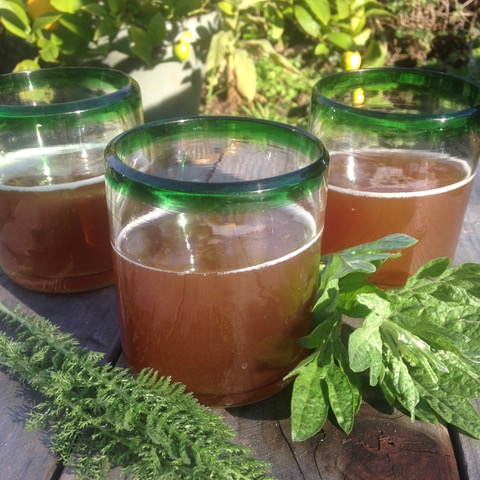 wild pagan brews